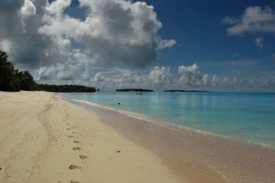 DSC_9445_5layerErase_Sm.jpg