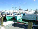 DSCN0170.JPG
