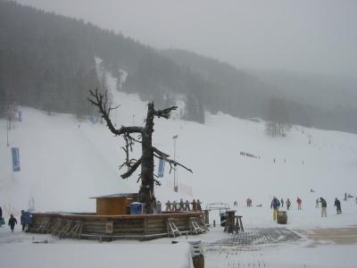 BarNotOpenYet