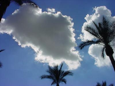 113. beautiful blue sky  beautiful clouds and palms