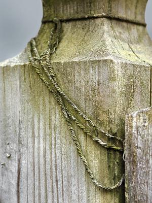 Weathered Thread Artshot Sue