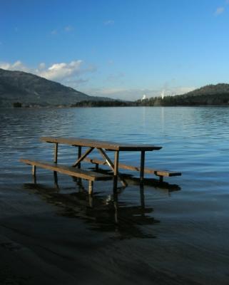 Lake's Up by: Sharon Engstrom