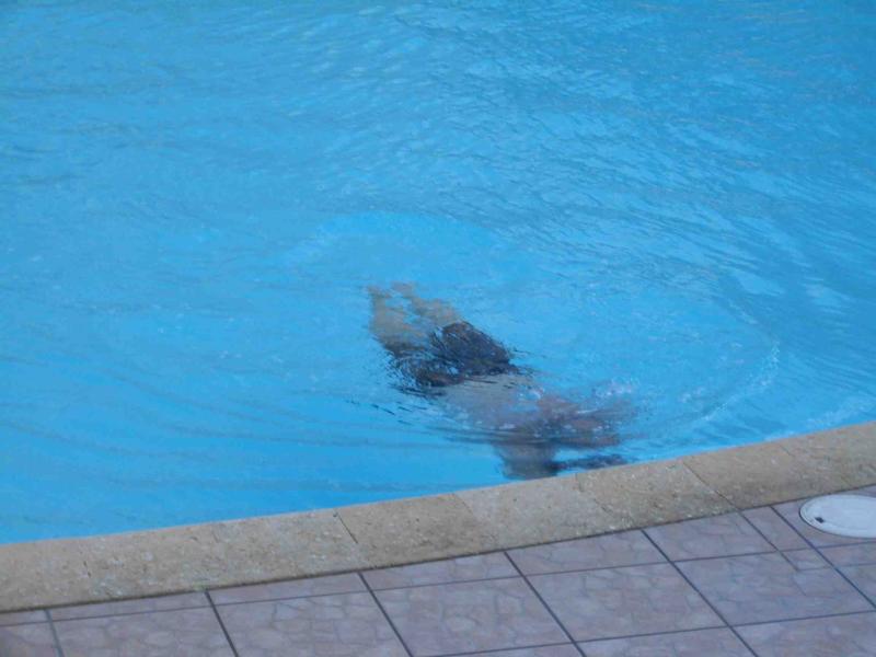 cancun 014.jpg