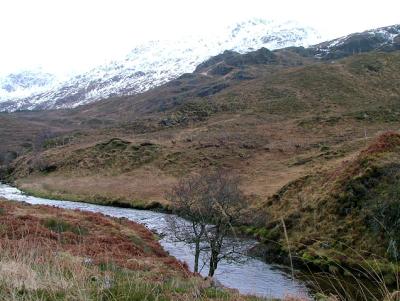 scot2-382br.jpg