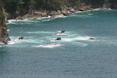 IMG_4452.JPG
