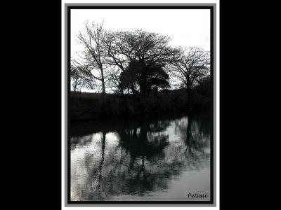 The Blanco River