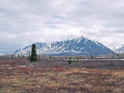 DSCF0097s.jpg