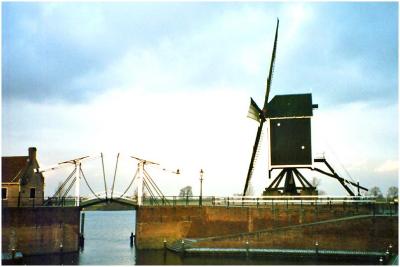 u40/philinnz/medium/26439792.fwindmill.jpg