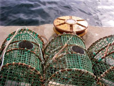 Ready for the Catch