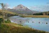Mount Errigal  - Derryveagh Mountains (Co. Donegal)