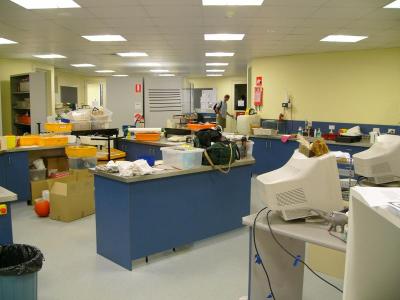 P1010002.jpg