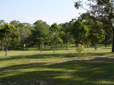P1010367.jpg
