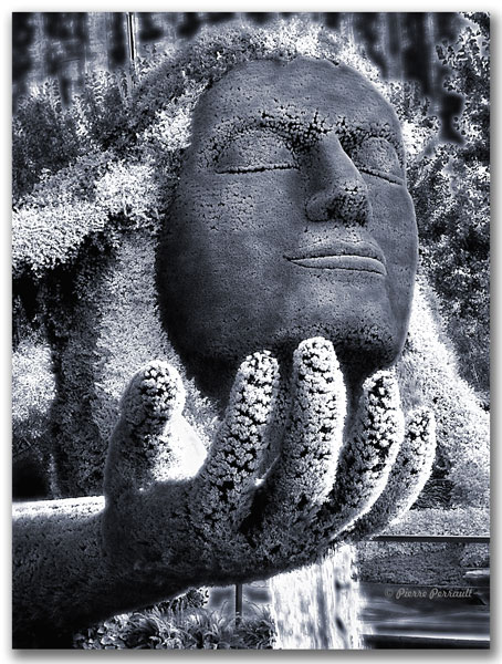 Mditation _ Meditation