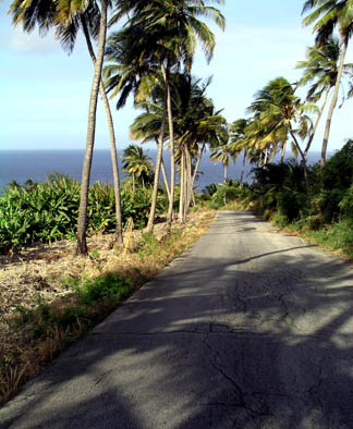 u40/placesandseasons/upload/35158685.Eastcoastroad.jpg