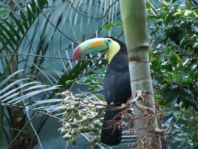 PICT0229.JPG