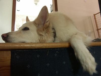 PICT000C.JPG