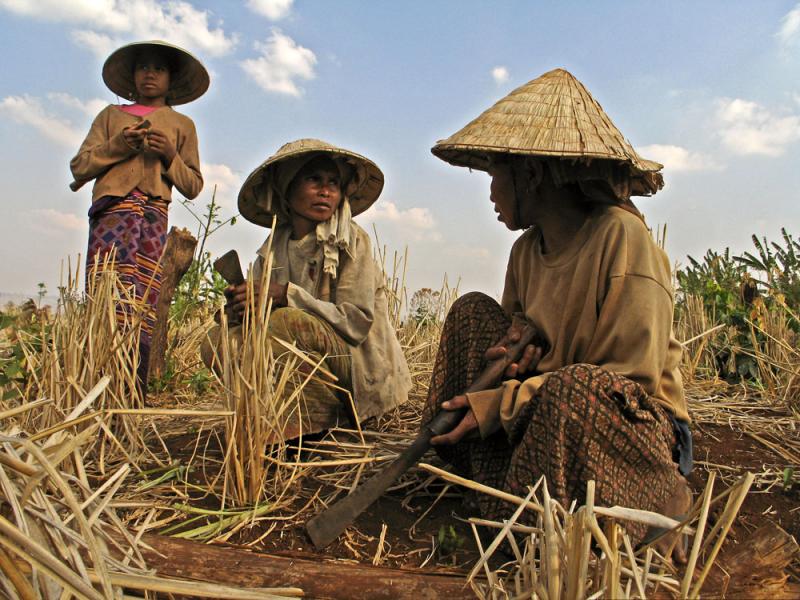 Rice Farmers, Salavan Province, Laos, 2005