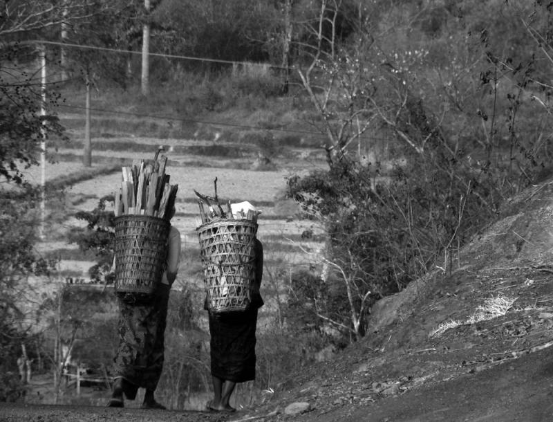 Wood Carriers, Salavan Province, Laos, 2005