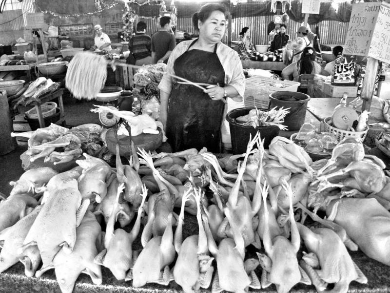 Chicken Seller, Morning Market, Vientiane, Laos, 2005