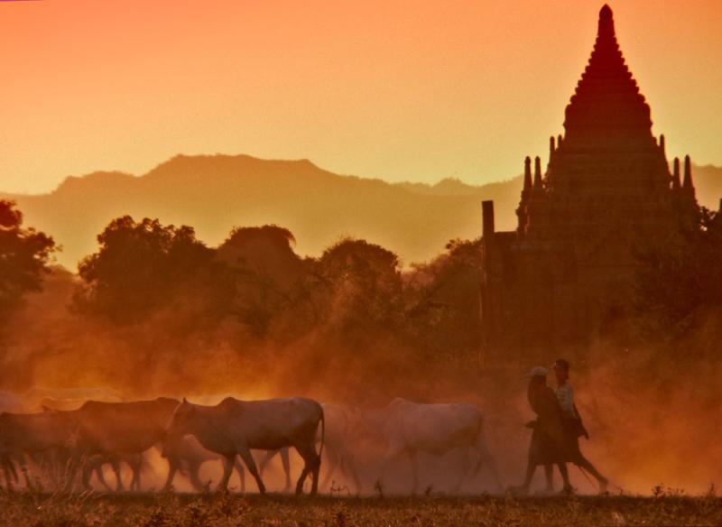 Perseverance, Bagan, Myanmar, 2005