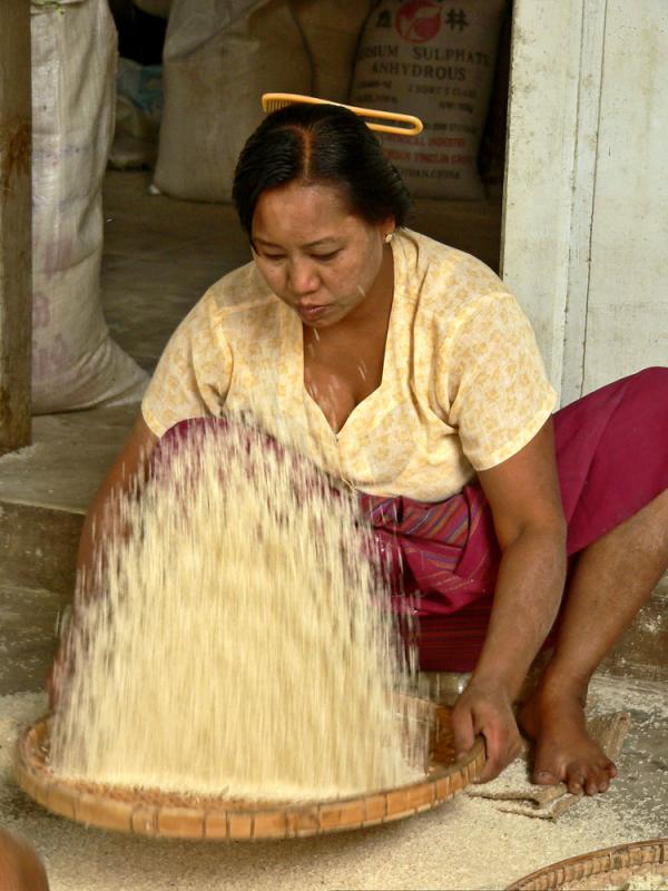Sifting Rice, Mahagandhayon Monastery, Amarapura, Myanmar, 2005