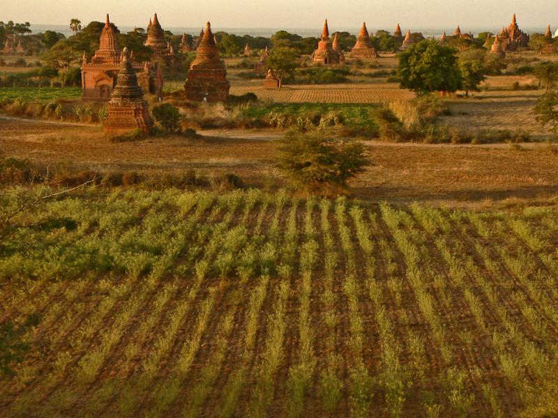 On the Plains of Old Bagan, Myanmar, 2005