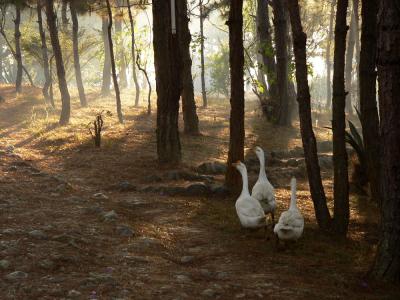 Threesome, Phonsavan, Laos, 2005