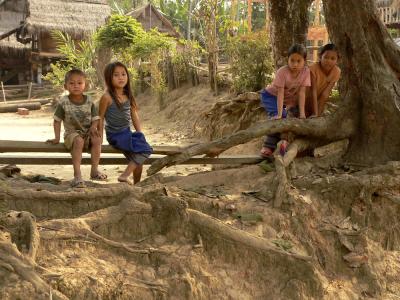 On the Fence, near Pak Beng, Laos, 2005