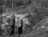 Wood Carriers, Salavan Province, Laos, 2005