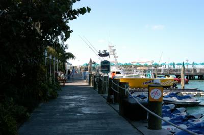 u40/pompapa/medium/26018623.PBASE1KeyWest005.jpg