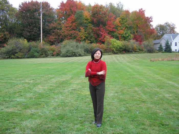 beautiful trees.JPG