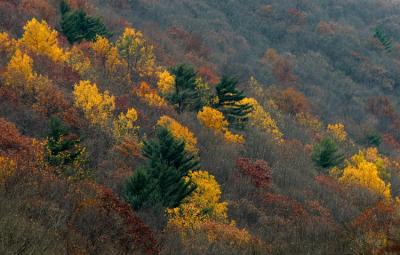 Late October 2