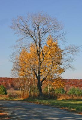 Late October 4