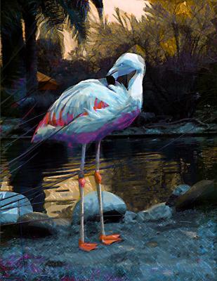 Flamingo at Dawn