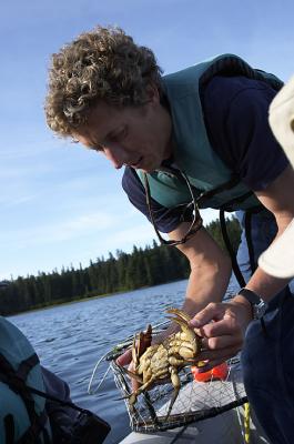 From the crab pot female crab.jpg