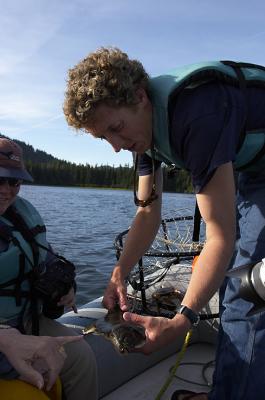 From the crab pot halibut.jpg