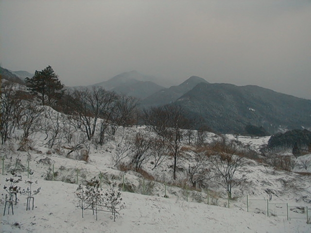 Image04.jpg