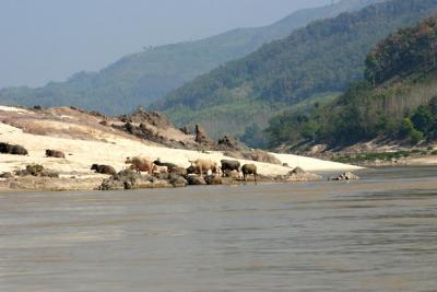 MEKONG