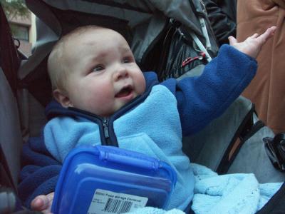 Oscar enjoying parade