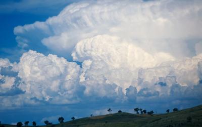 Cumulonimbus Over Canberra