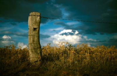 Fence Post On Red Hill