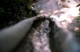 Alhambra - Water Jumping