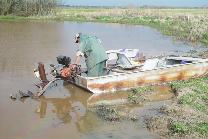 CRAWFISH FARMER STARTING OUT TO HARVEST A POND