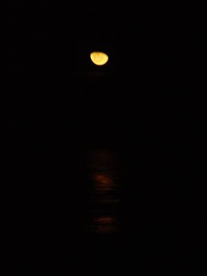 MOON RISE OVER THE WATER