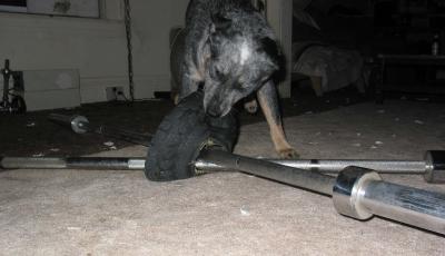 IMG_2484.jpg