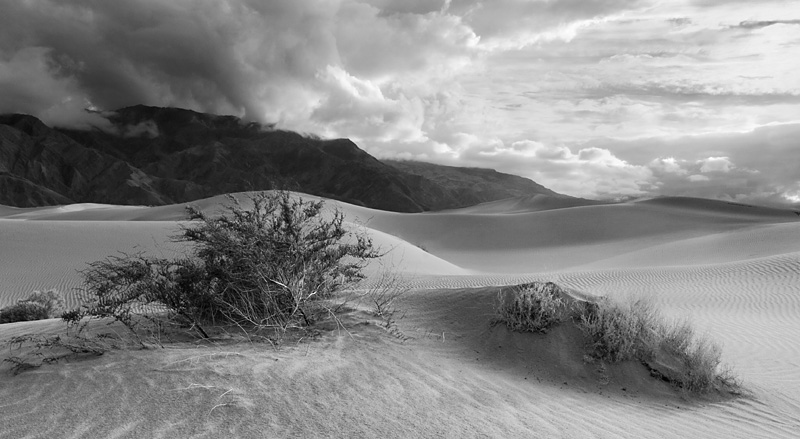 Stovepipe Wells Dunes B&W