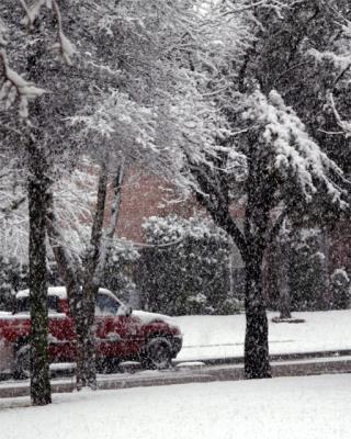 IMG_5471-01-la-cr1.jpg