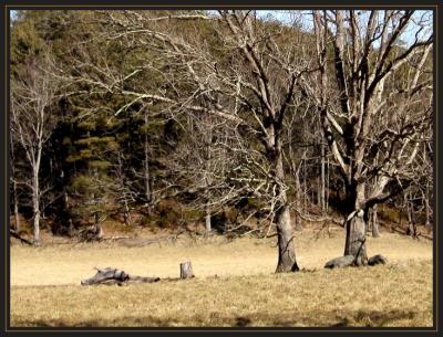 Scenery & Landscapes