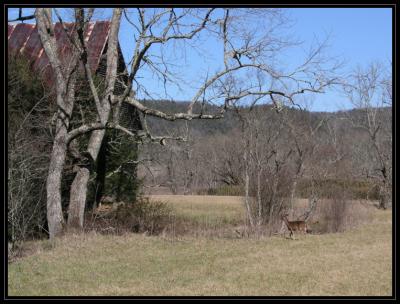 JPG CS Deer Barn P2268423.jpg