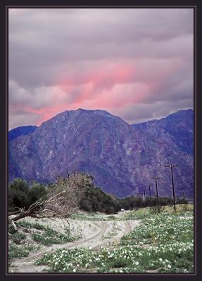 Anza Borrego